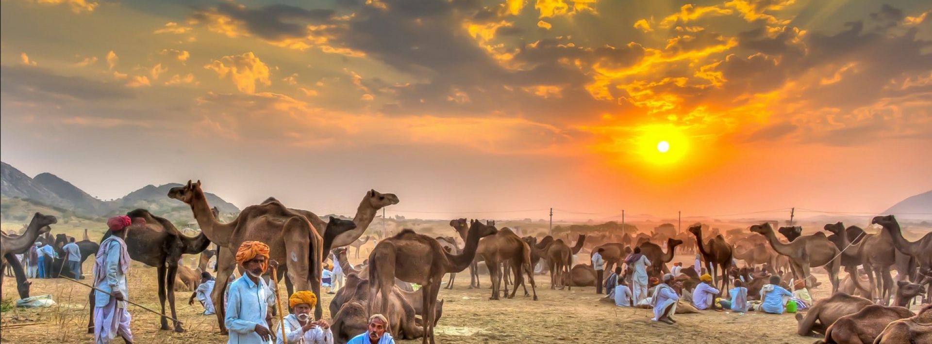 Pushkar-camel-fair